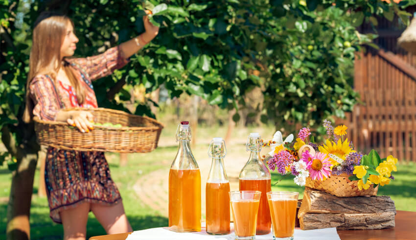 Kombucha drinks set on a table outdoors
